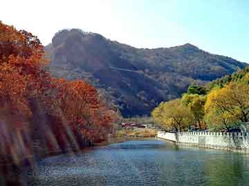 2004新澳门天天开好彩，美国雨鸟